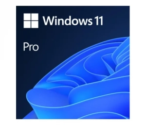 Windows 11 Professional  bezterminowa licencja / klucz produktu