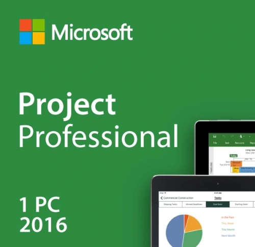 Project2016.webp